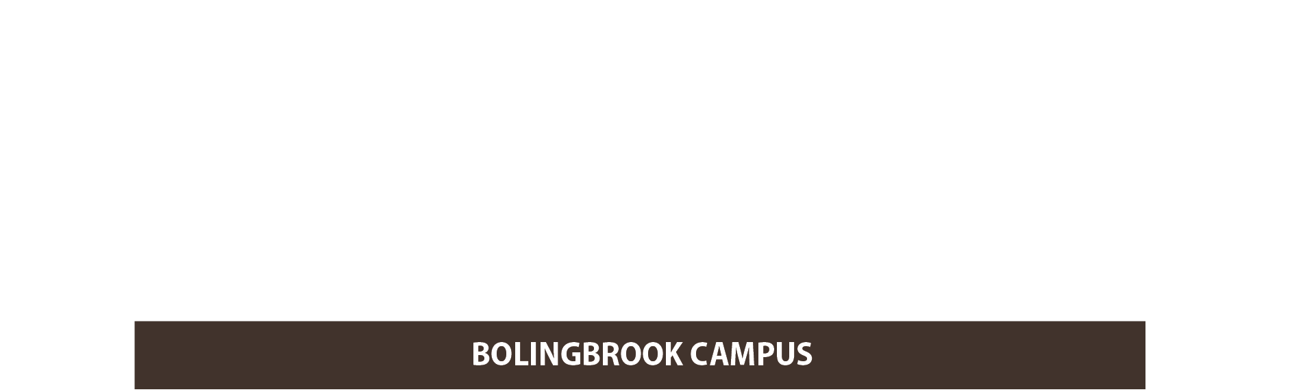 BB Care And Support Groups